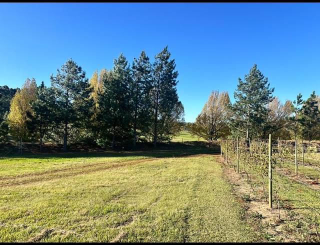 LAND FOR SALE IN DARGLE